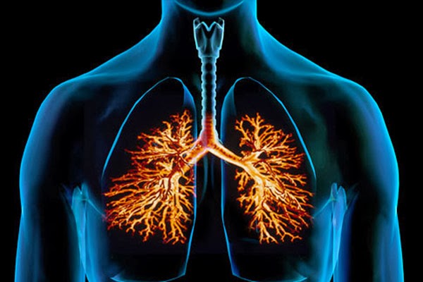 BRONCHITIS contraindications In beauty therapy