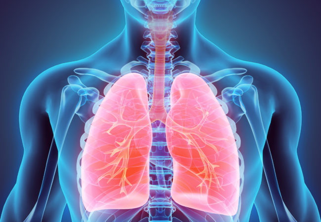 FIBROSIS contraindications In beauty therapy