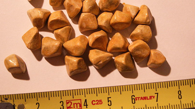GALLSTONES contraindications In beauty therapy