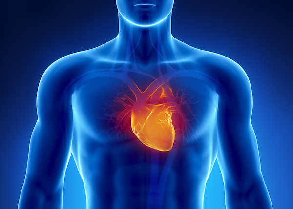 HEART CONDITIONS contraindications In beauty therapy