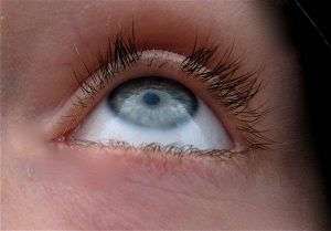 TRICHOTILLOMANIA AND TRICHOPHAGIA contraindications In beauty therapy